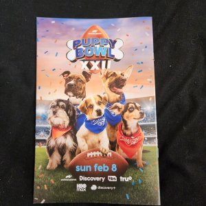 Absolute Batman # 16