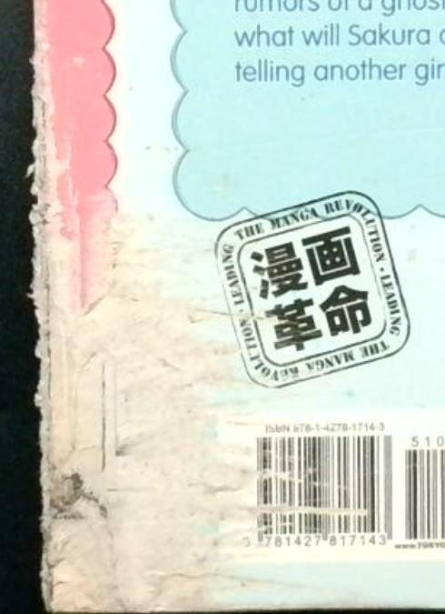 Me & My Brothers #10, Tokyopop