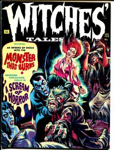 Witches Tales Vol.5  #1  1973-Eerie-werewolf & vampire cover-Carl Burgos-FN-