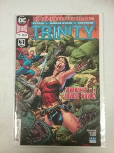 Trinity #17 DC Universe Comics NW162