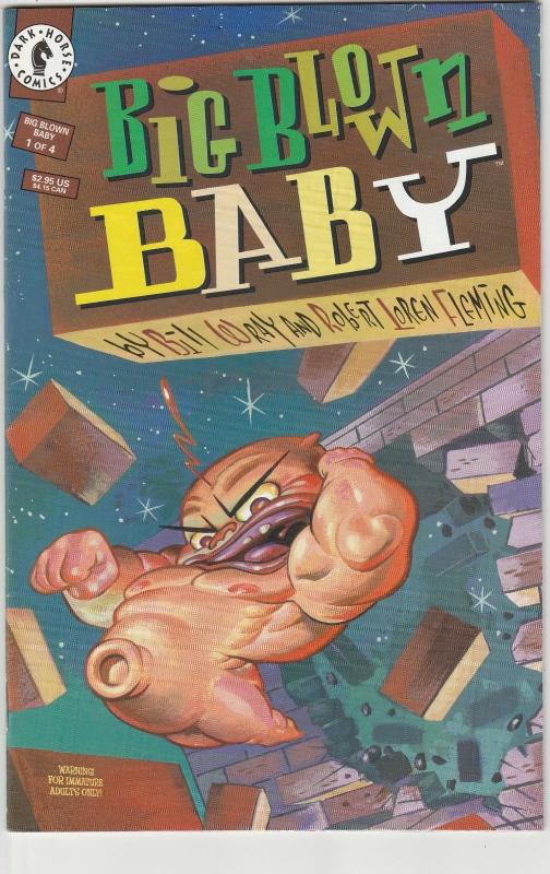 4 Big Blown Baby Dark Horse Comic Books # 1 2 3 4 Bill Wray Robert Fleming J194