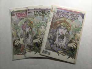 Witchcraft 1 2 3 Lot Run Set Near Mint Nm Dc Vertigo