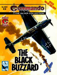 The Black Buzzard