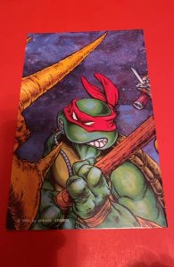 Teenage Mutant Ninja Turtles #6 (1986)1st print