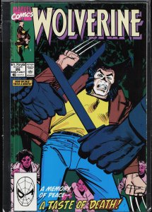 Wolverine #26 (1990) Wolverine