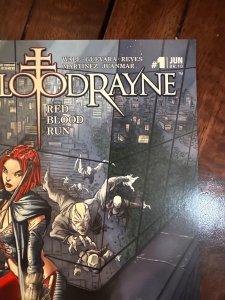 BloodRayne: Red Blood Run #1 (2007)