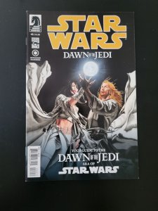 Star Wars: Dawn of the Jedi - Force Storm #0 (2012)