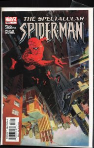 Spectacular Spider-Man #14 (2004) Spider-Man