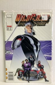 WildC.A.T.s: Covert Action Teams #25 Second Print Cover (1995)