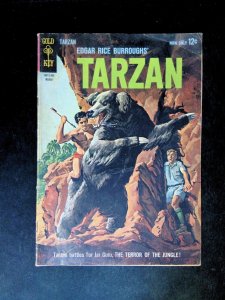 Tarzan #134  DELL/GOLD KEY Comics 1963 GD-