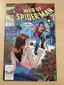 Web Of Spiderman #42