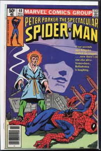 The Spectacular Spider-Man #48 (1980) Spider-Man