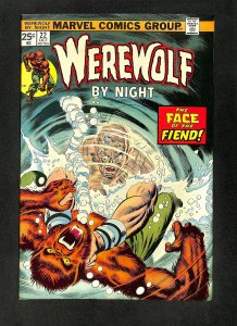 Werewolf By Night #22