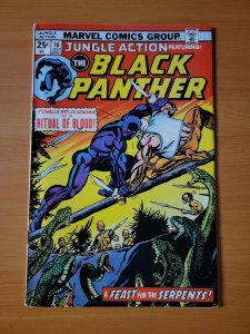 Jungle Action #16 Black Panther ~ VERY FINE - NEAR MINT NM ~ 1975 Marvel Comics