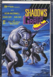 Shadows from the Grave #1 (1987)