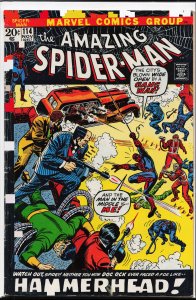 The Amazing Spider-Man #114 (1972) Spider-Man