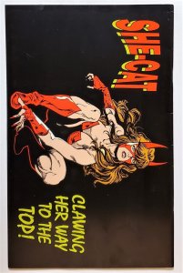 FemForce #73 (1994, AC Comics) FN  