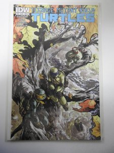 Teenage Mutant Ninja Turtles #29 (2013)