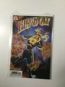 Black Cat #3 (2019) HPA