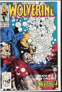 Wolverine #19 (1989) Wolverine