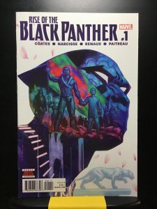 Rise of the Black Panther #1 (2018)