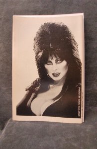 Elvira's House of Mystery #1 Direct Edition (1986)