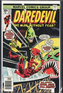 Daredevil #137 (1976) Daredevil