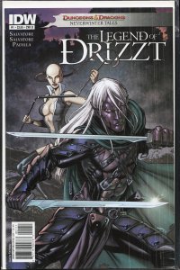 Dungeons & Dragons: The Legend of Drizzt: Neverwinter Tales #1 Cover B (2011)