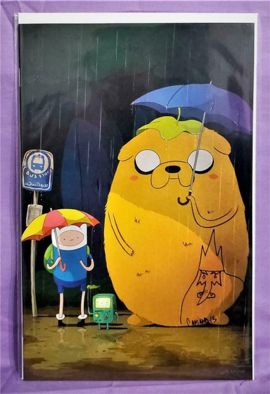 DF Variant ADVENTURE TIME #10 Signed Remarked Chris Caniano (KaBoom!, 2013)!