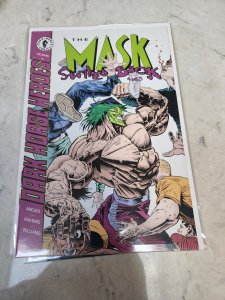 The Mask Strikes Back #4  (1995)