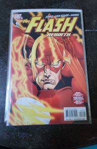 The Flash: Rebirth #6 Ethan Van Sciver Flash Cover (2010)