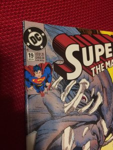 Superman Man of Steel #19 Doomsday DC (1993) NM