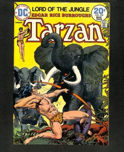 Tarzan (1972) #229