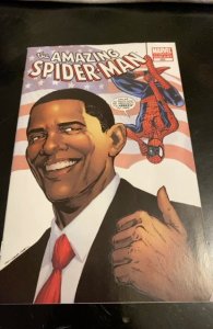 Spider-Man: Election Day  (2010)