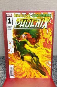 Phoenix #1 (2024)