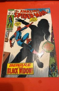 The Amazing Spider-Man #86 (1970) Black Window