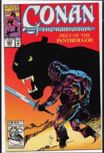 Conan the Barbarian #262 (1992) Conan