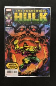 Incredible Hulk  #14 (2024)