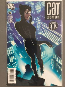 Catwoman #53 (2006) Adam Hughes