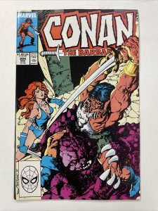 Conan The Barbarian 204