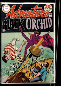 Adventure Comics #429 (1973) Black Orchid