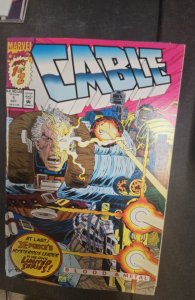 Cable #1 (1992)