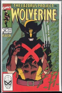 Wolverine #29 (1990) Wolverine