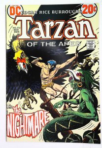 Tarzan (1972 series)  #214, VF+ (Actual scan)
