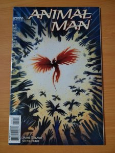 Animal Man #79 ~ NEAR MINT NM ~ 1995 DC Comics