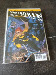 All Star Batman & Robin, The Boy Wonder #6 (2007)