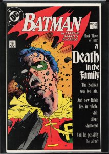 Batman 428: Robin Lives! (2024)