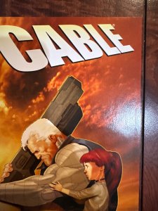 Cable #12 (2009)