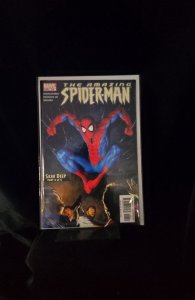 The Amazing Spider-Man #518 (2005)  