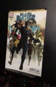 Black Panther #24 enter galactic empire of Wakanda! Super high grade! NM+ Wow!